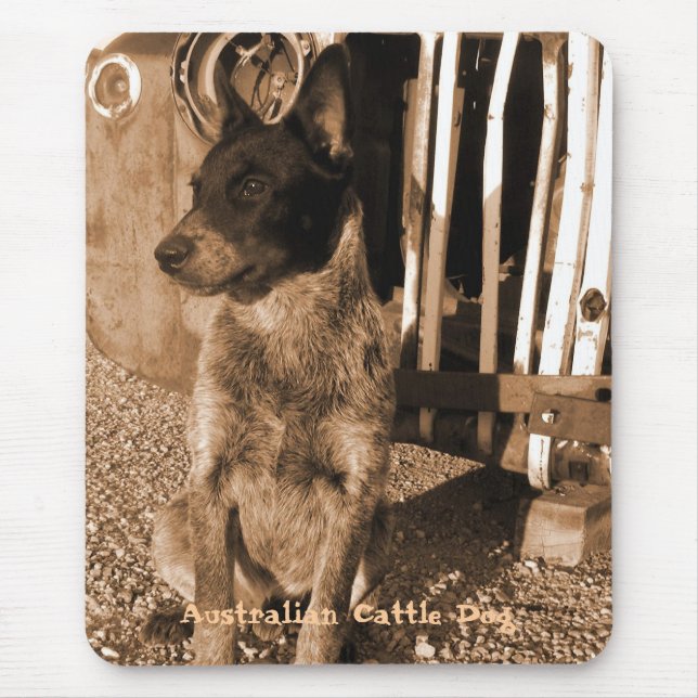 Australian Cattle Dog Mousepad #2 (Front)