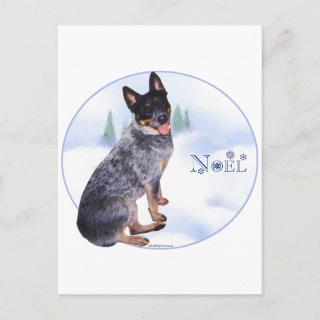 Australian Cattle Dog Noel Holiday Postcard (Front)
