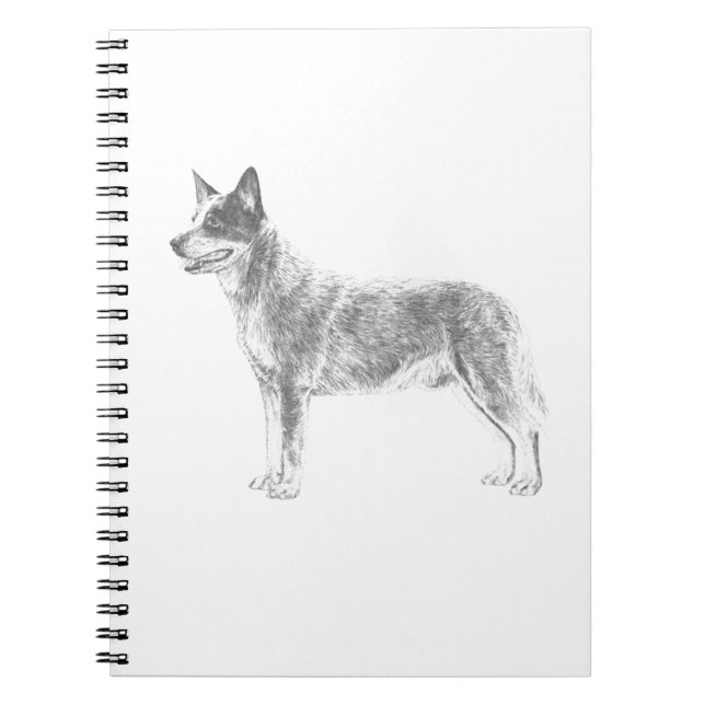 Australian Cattle Dog Notebook (Front)