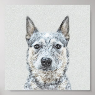 Australian Cattle Dog Painting - Cute Original Art Poster