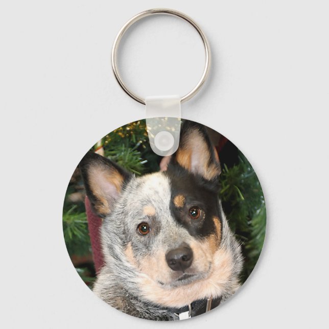Australian Cattle Dog Photo Keychain (Front)