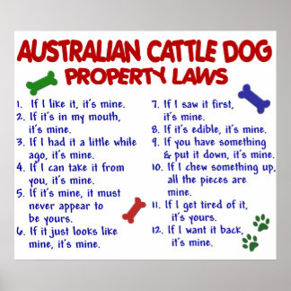AUSTRALIAN CATTLE DOG PL2 POSTER