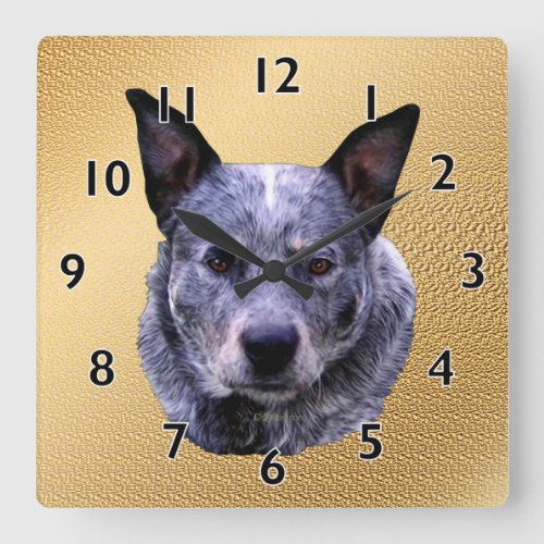 Australian Cattle Dog Portrait Square Wall Clock