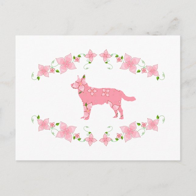 Australian Cattle Dog Postcard (Front)