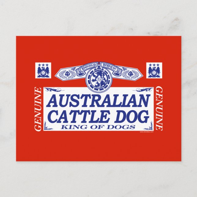 Australian Cattle Dog Postcard (Front)