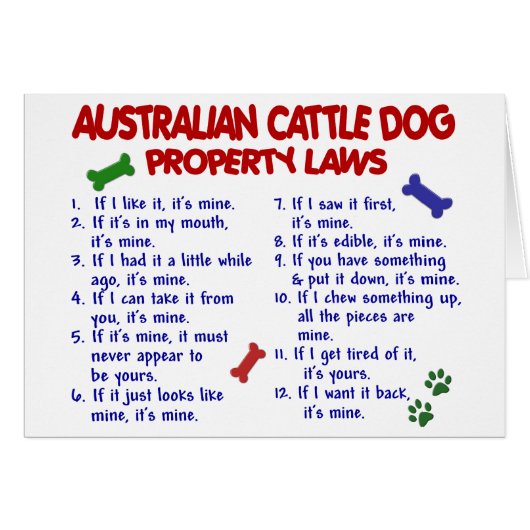 AUSTRALIAN CATTLE DOG Property Laws 2 Cards (Front Horizontal)