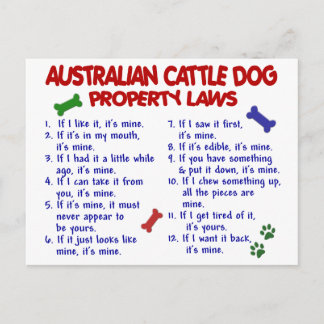 AUSTRALIAN CATTLE DOG Property Laws 2 Postcard