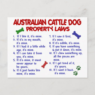 AUSTRALIAN CATTLE DOG Property Laws 2 Postcard