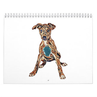 Australian Cattle Dog puppy mix sitting looking in Calendar