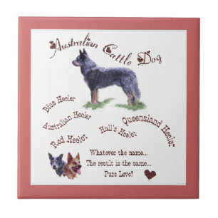 Australian Cattle Dog Pure Love Tile