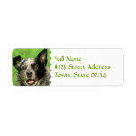 Australian Cattle Dog Return Address Label