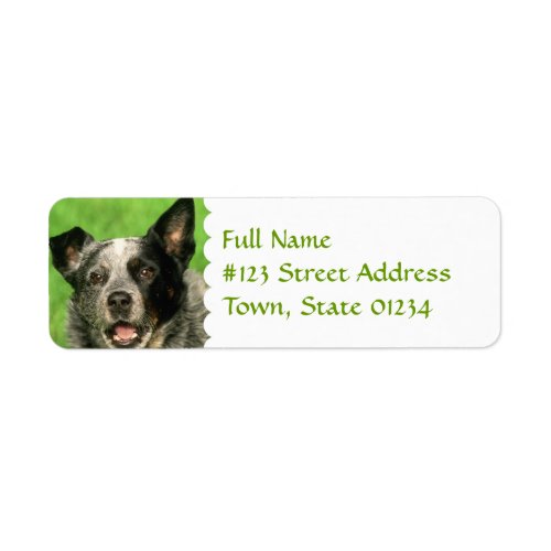 Australian Cattle Dog Return Address Label