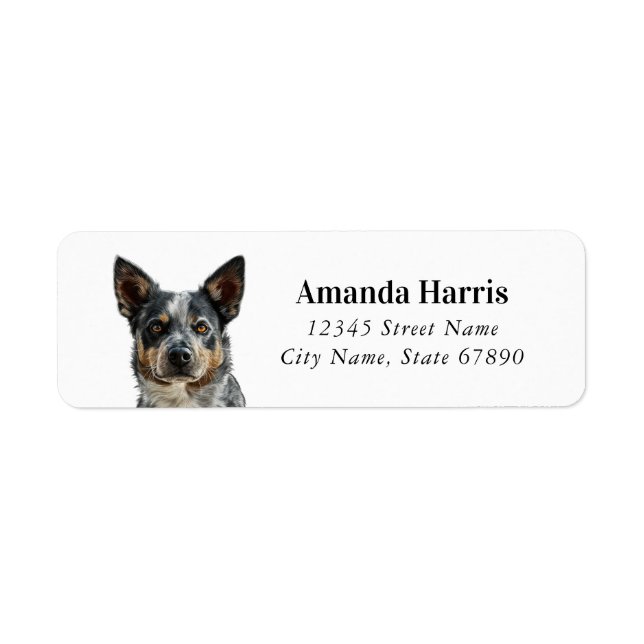 Australian Cattle Dog Return Address Labels (Front)