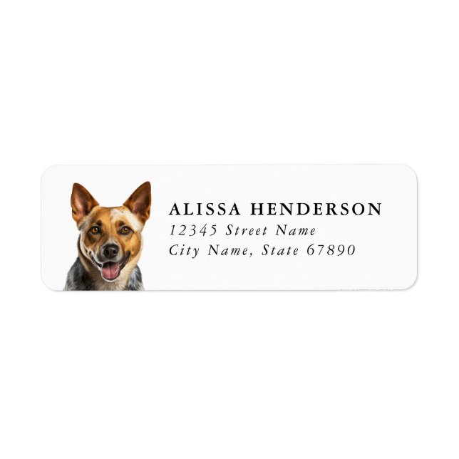 Australian Cattle Dog Return Address Labels (Front)
