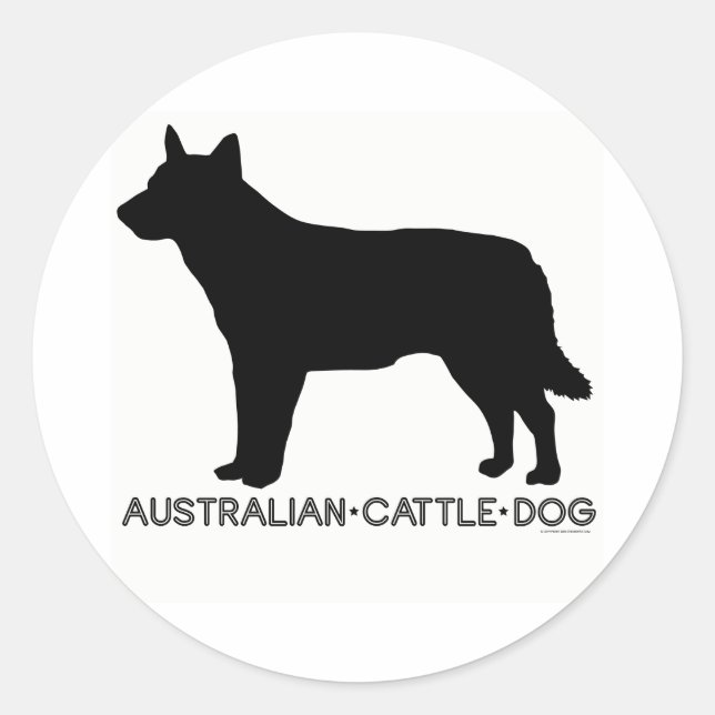 Australian Cattle Dog Sticker (Front)