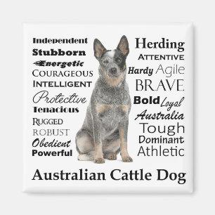 Australian Cattle Dog Traits Magnet