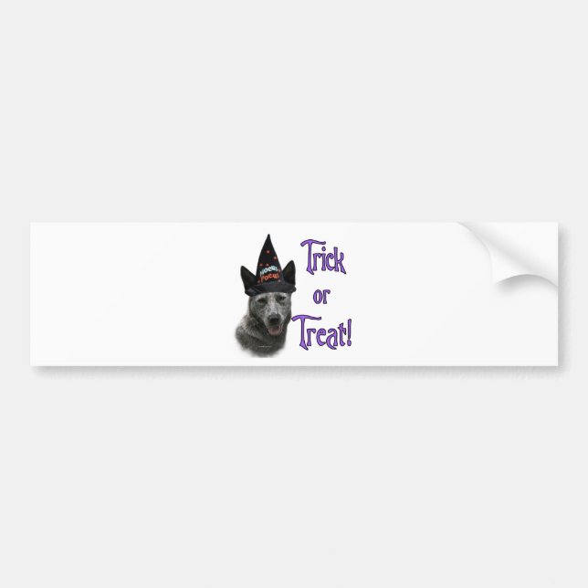 Australian Cattle Dog Trick Bumper Sticker (Front)