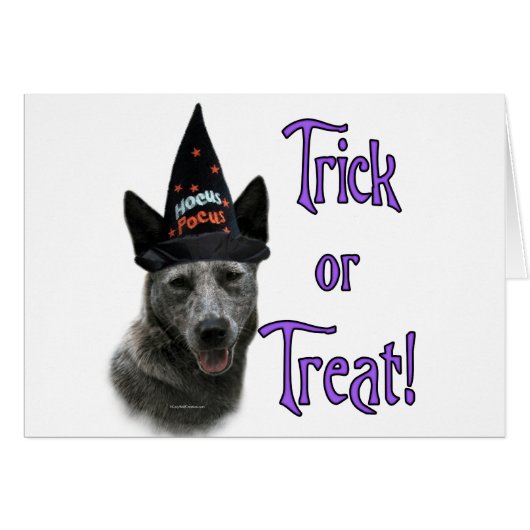 Australian Cattle Dog Trick Cards (Front Horizontal)