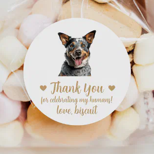 Australian Cattle Dog Wedding Favor Stickers