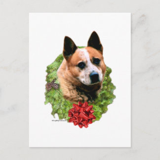 Australian Cattle Dog Wreath Postcard