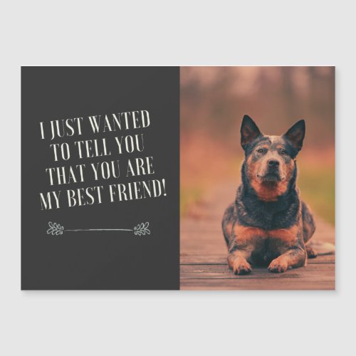 Australian Cattle Dog _ you are my best friend