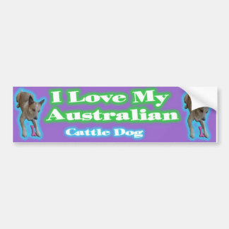 Australian Cattle Dogs. Gotta love'em. Bumper Sticker