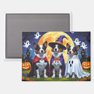 Australian Cattle Dogs Pumpkin Halloween Funny Magnet