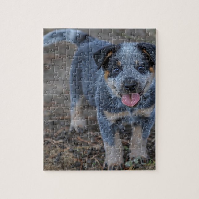 Australian Cattle Puppy Dog Jigsaw Puzzle (Vertical)
