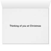 Australian Christmas birds (Inside Horizontal (Bottom))