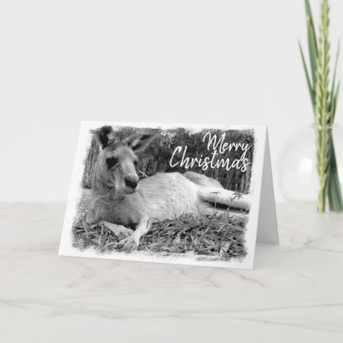Australian Christmas Cards _ Kangaroo