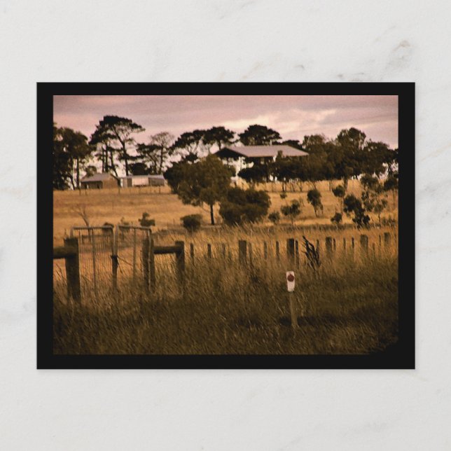 australian country roadside Postcard (Front)