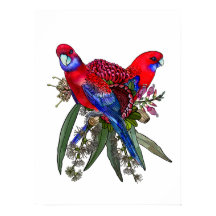 Australian Crimson Rosella and Wildflower Bouquet