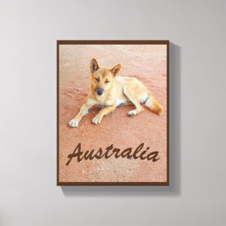 Australian dingo canvas print