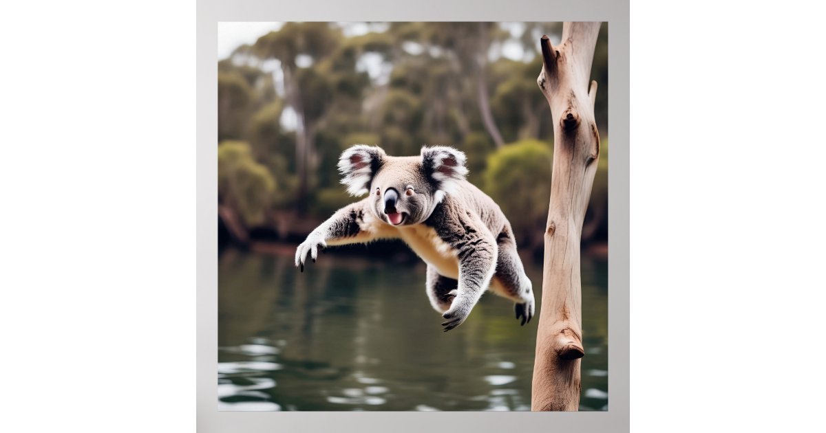 Australian Drop Bear Koala Poster