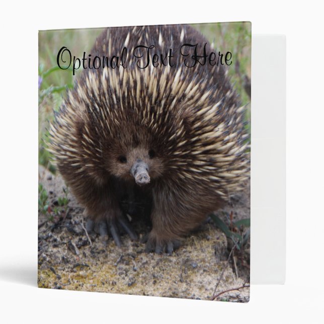 Australian Echidna Cute Animal Photo 3 Ring Binder (Front/Inside)