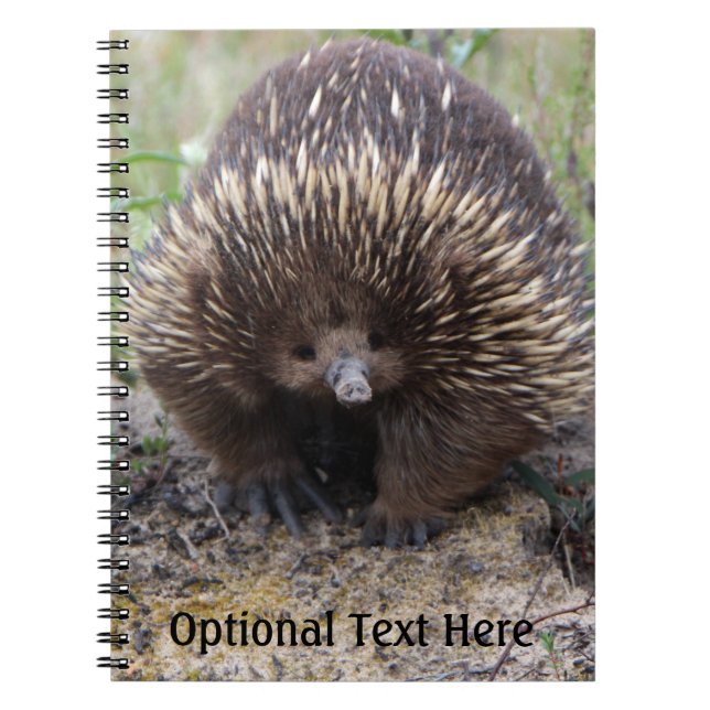 Australian Echidna Cute Animal Photo Notebook (Front)