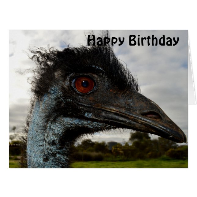 Australian Emu Face Up Close, Jumbo Birthday Card (Front Horizontal)