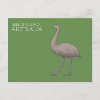 Australian Emu Postcards