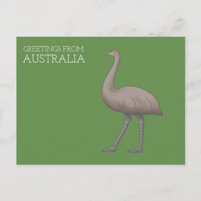 Australian Emu Postcards (Front)