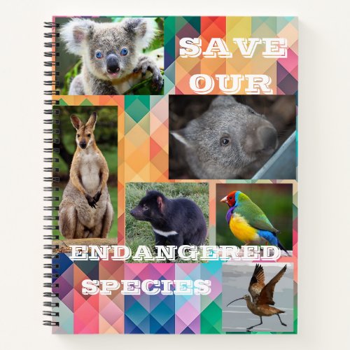 Australian Endangered Species Notebook