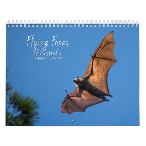 Australian Flying Fox Bat Calendar _ 3 sizes