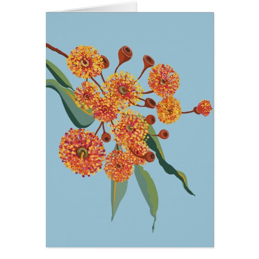 Australian gum tree blossoms cards (Front)