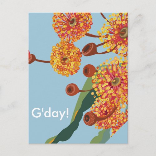 Australian gum tree blossoms postcard