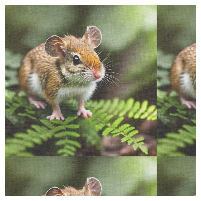 Australian Hopping Mouse, Fabric (Close Up)