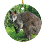 Australian Kangaroo Ornament