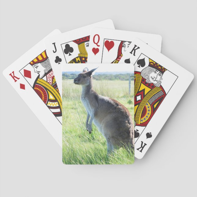 Australian Kangaroo Playing Cards (Back)