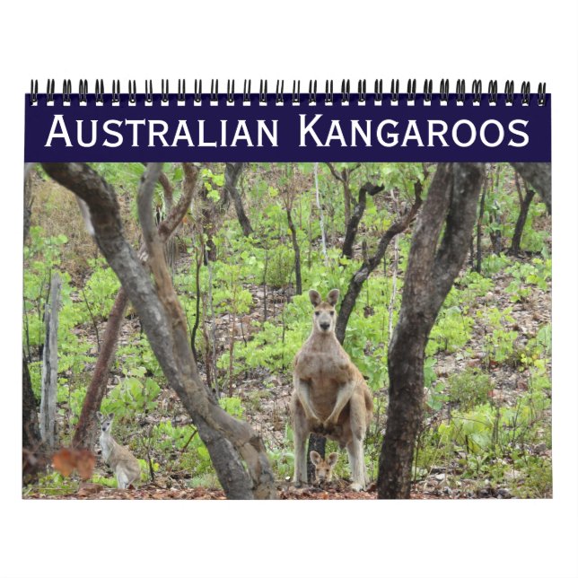 australian kangaroos 2026 calendar (Cover)