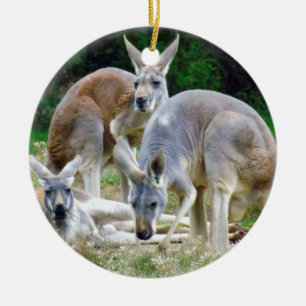 Australian Kangaroos Relaxing in the Sun Ceramic Ornament