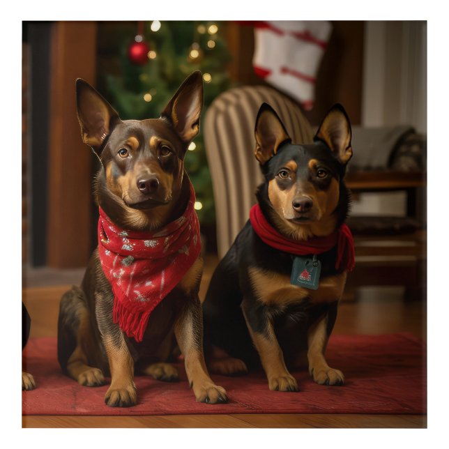 Australian Kelpie by the Fireplace Christmas Acrylic Print (Front)