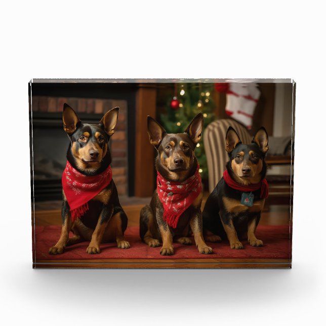 Australian Kelpie by the Fireplace Christmas Photo Block (Front)
